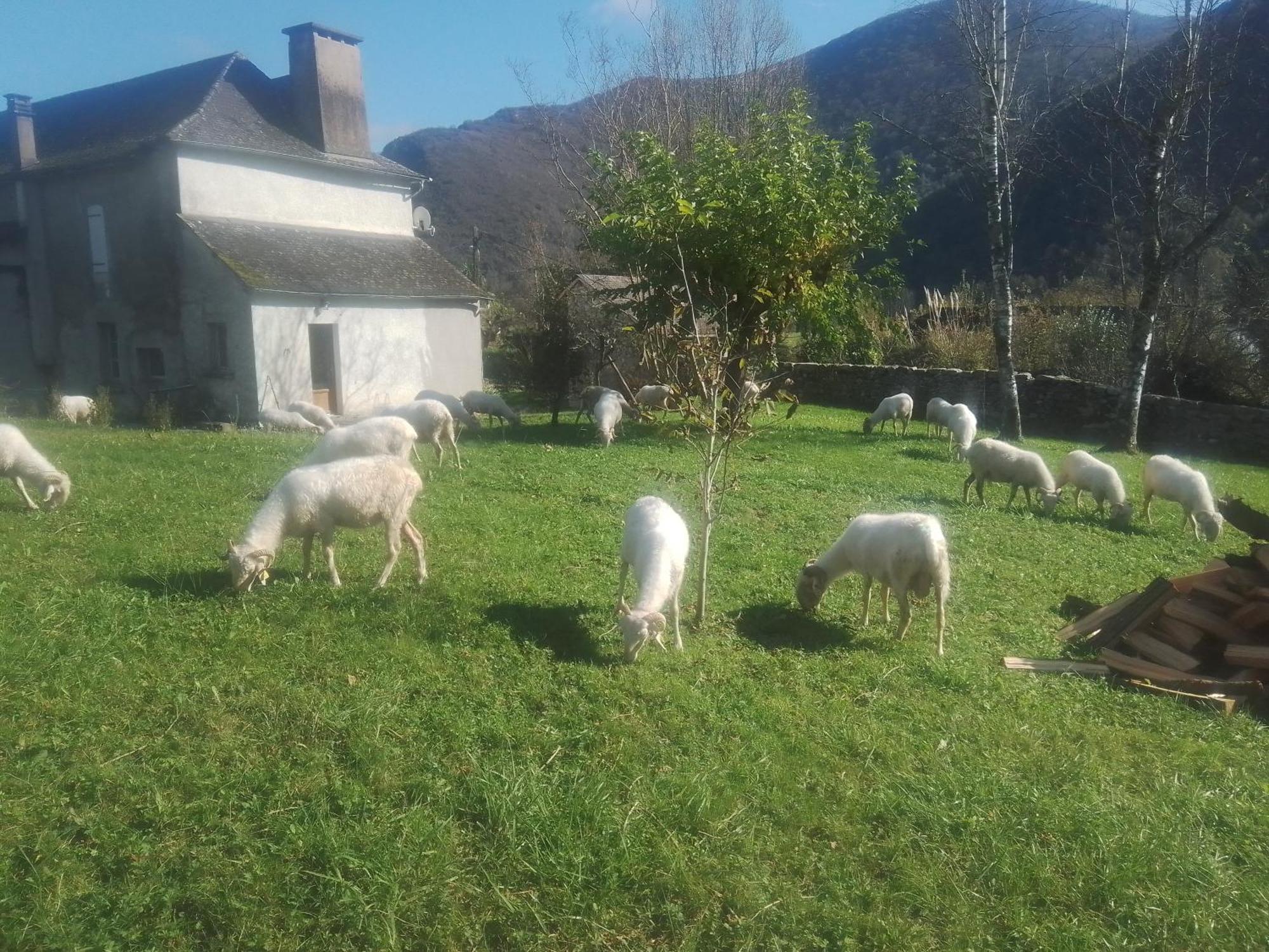 Gite Maison Chourrist Capbis Εξωτερικό φωτογραφία